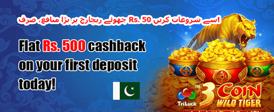 ڈیلی اسپن انعام